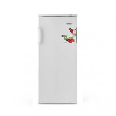 Морозильник Goodwell GW 208 FN, FNS